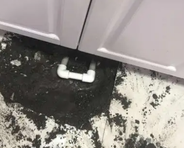 泽库查漏水哪家好